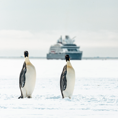 Ponant