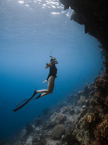 Seychelles Cruise