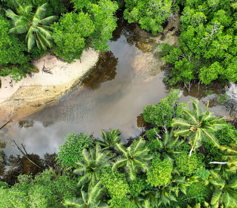 Seychelles 