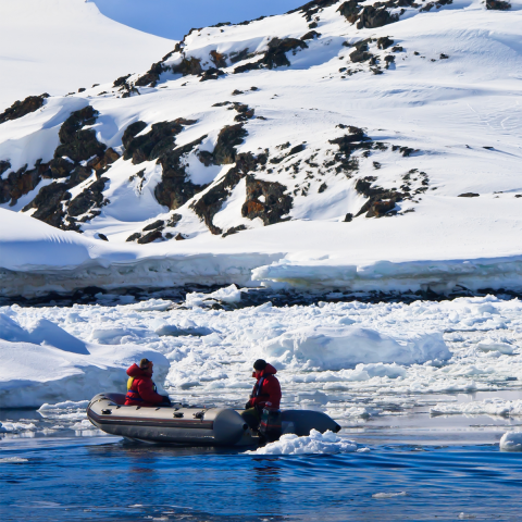 Arctic