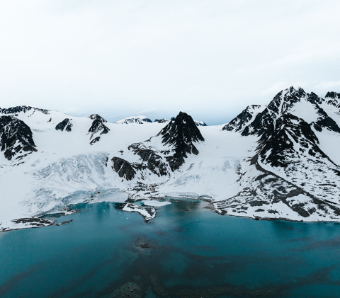 Snowscape