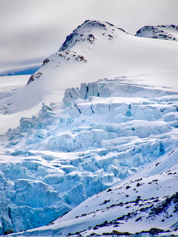 Arctic