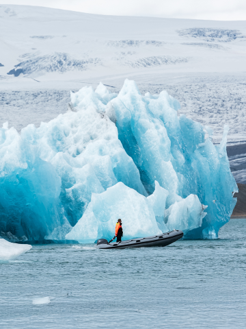 Arctic