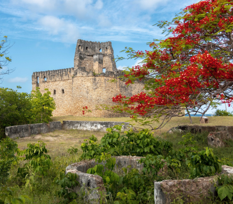 zanzibar