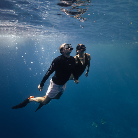 Expedition highlights - Snorkeling & Diving
