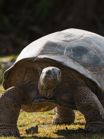 Great cruise for - Wildlife