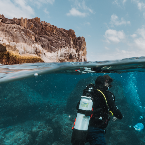 Tailor-made experiences