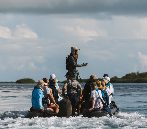 EXPERT-LED EXCURSION