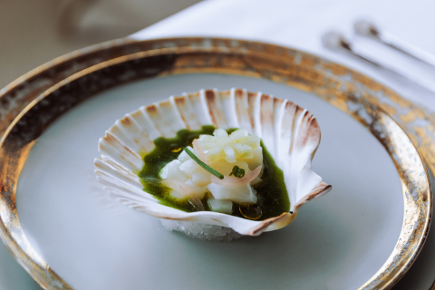 Apple-Cured Scallop Ceviche with Greens