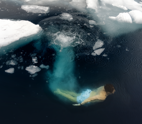 Polar Plunge
