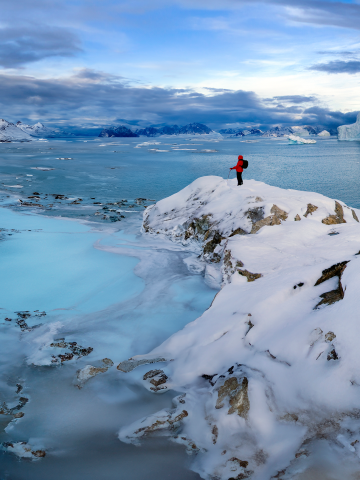 Arctic