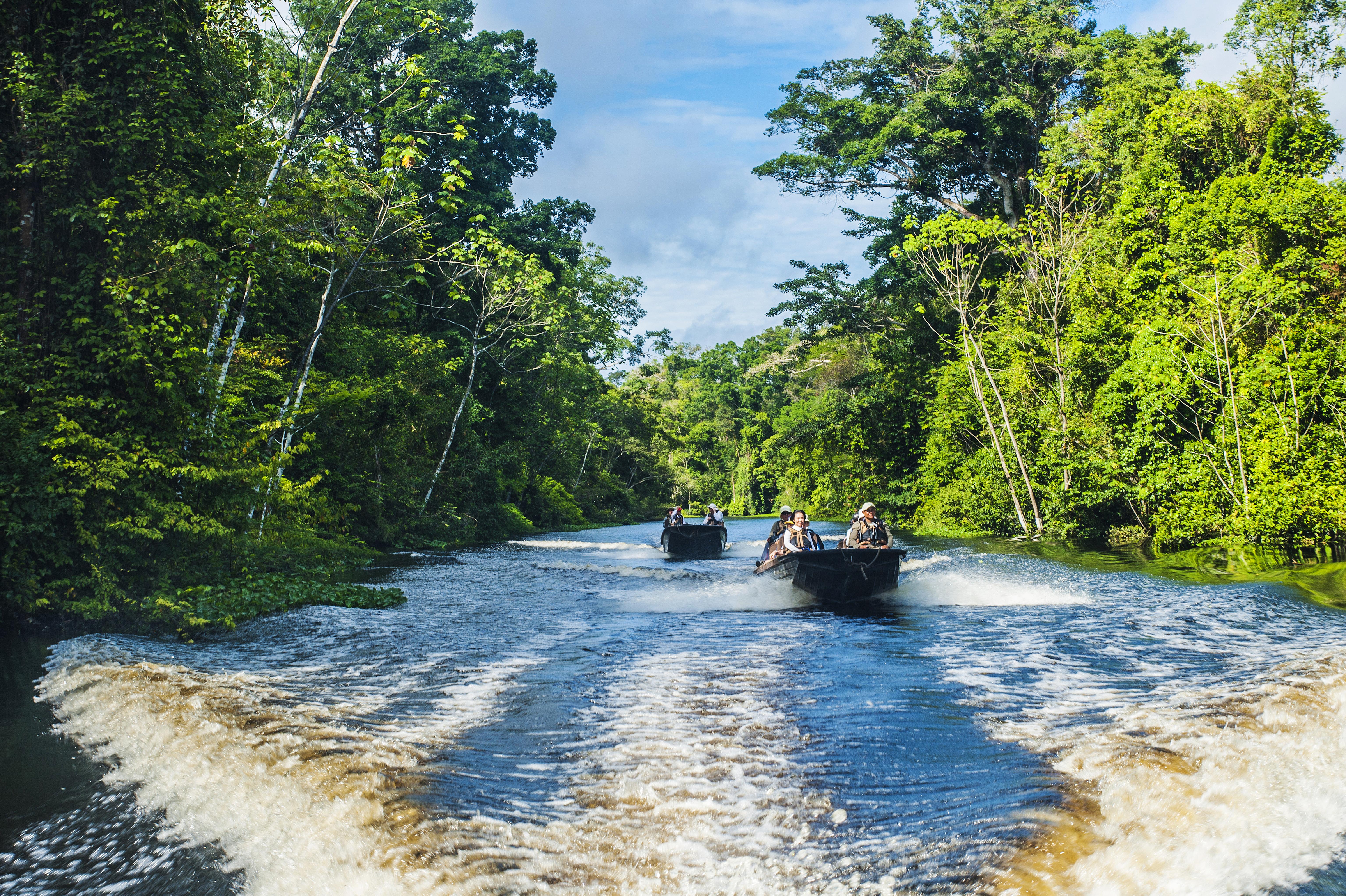 Amazon river cruise