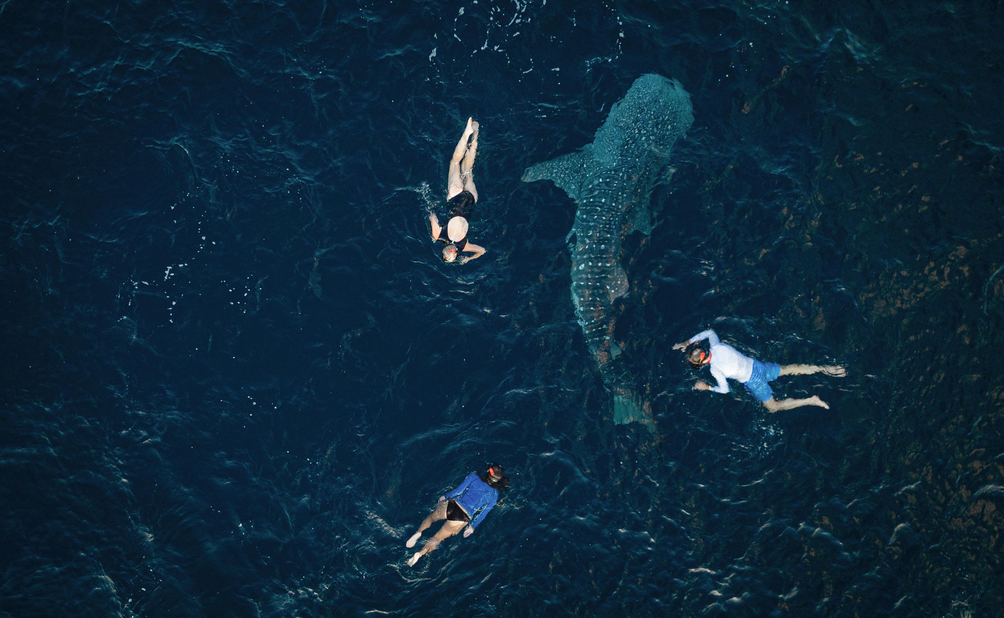 Cruises to Bali and Komodo
