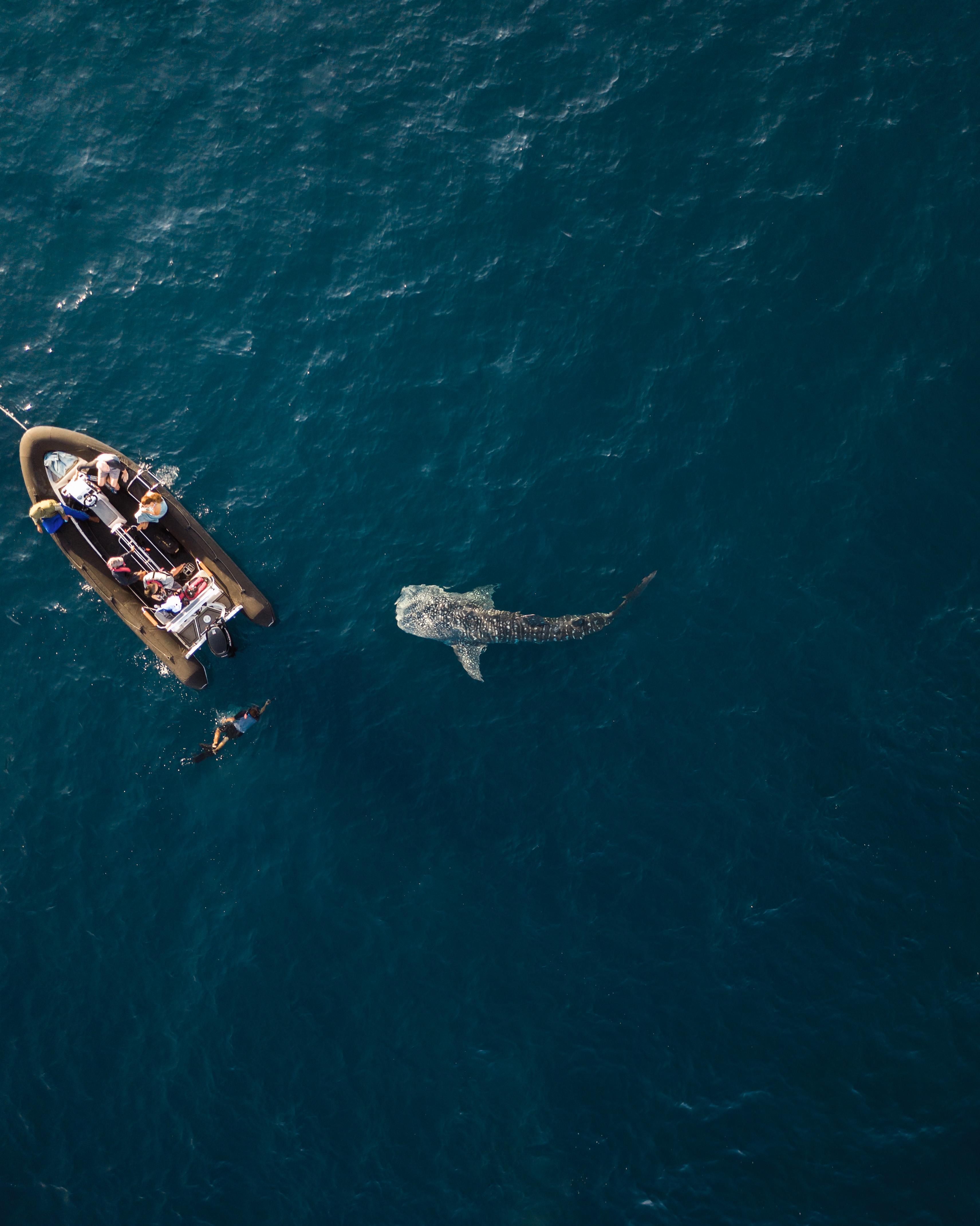 Aqua Expeditions -  Wildlife adventure