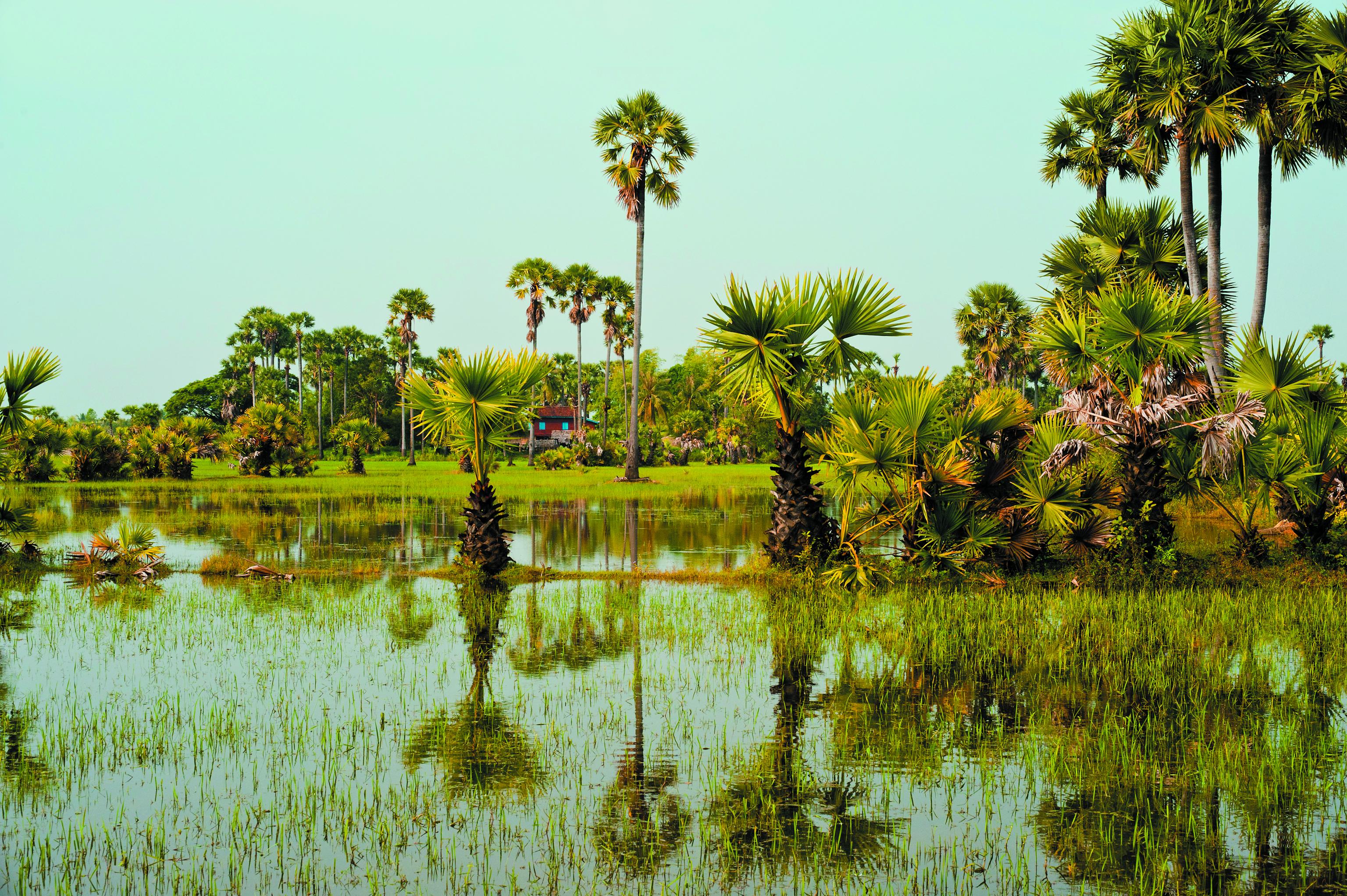 Best Time to Visit Cambodia and Vietnam