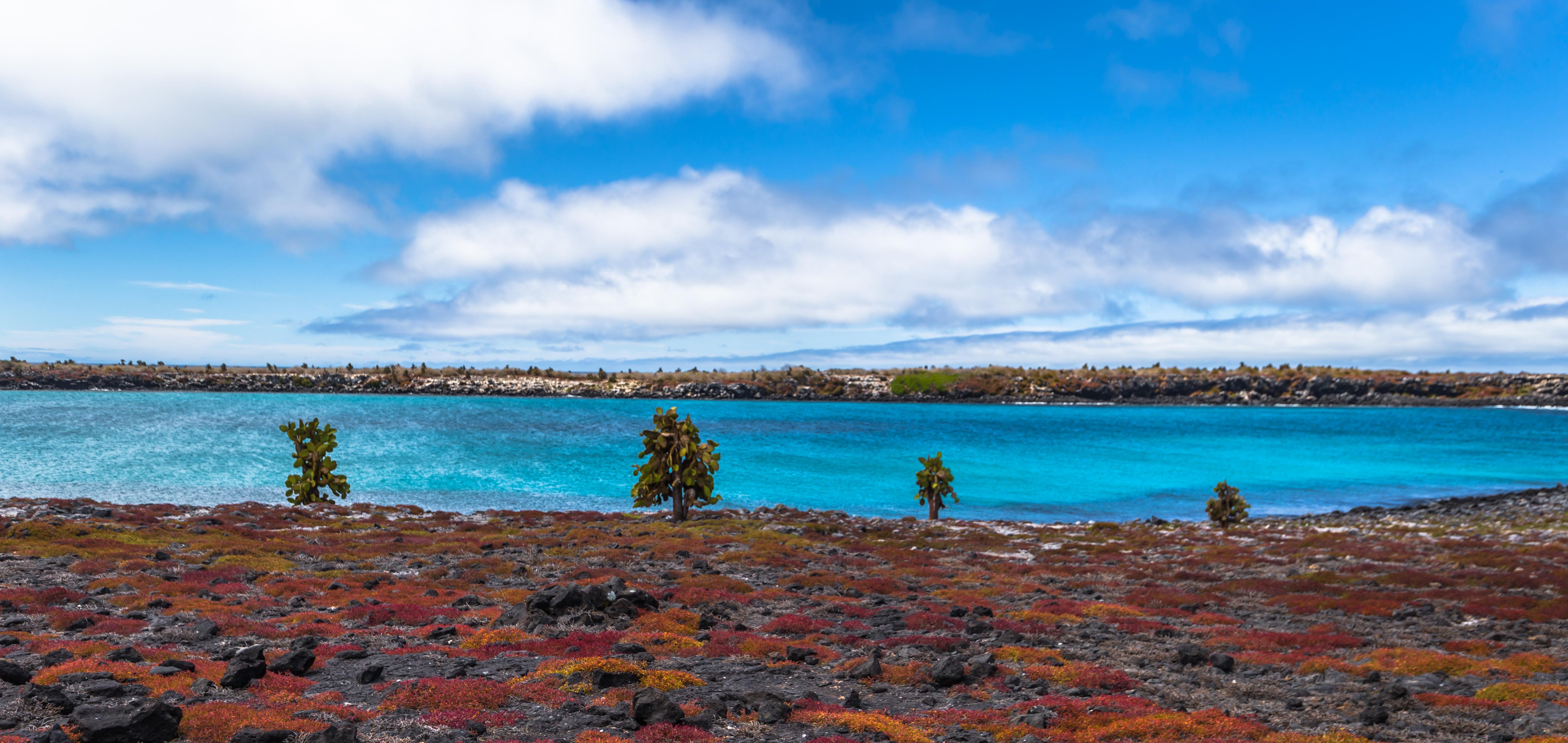 Galapagos cruise