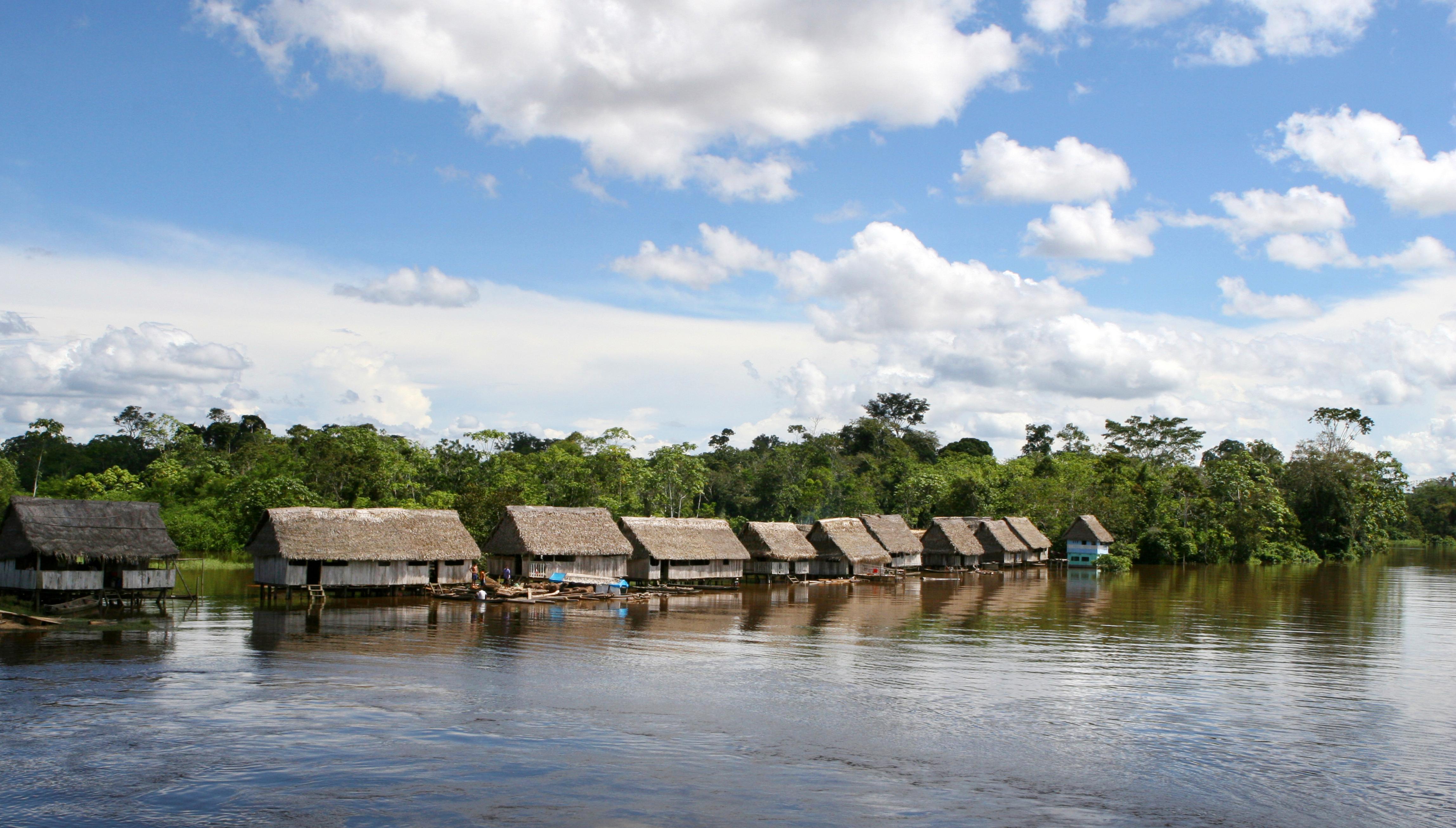 Amazon river landscape