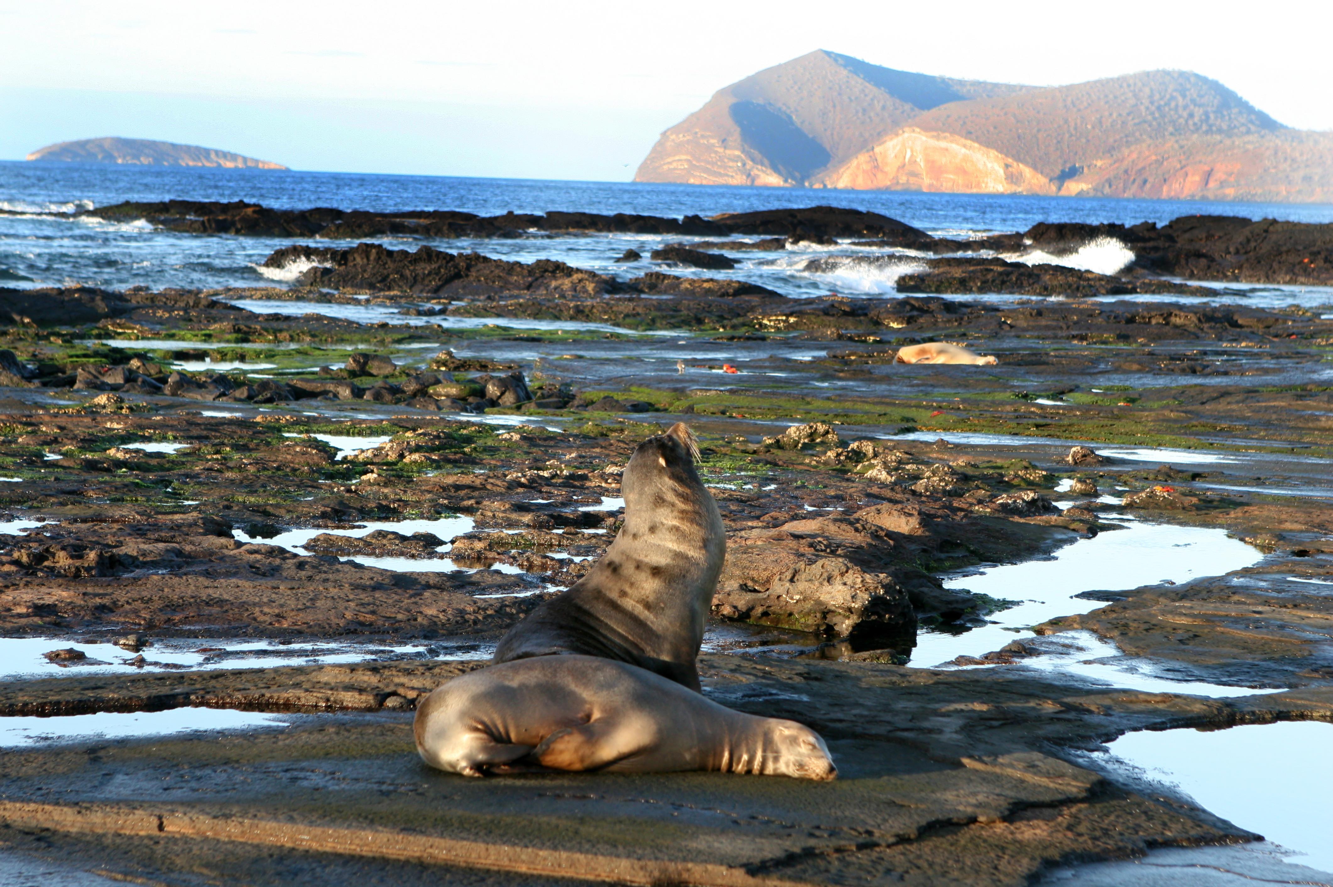 Galapagos cruise