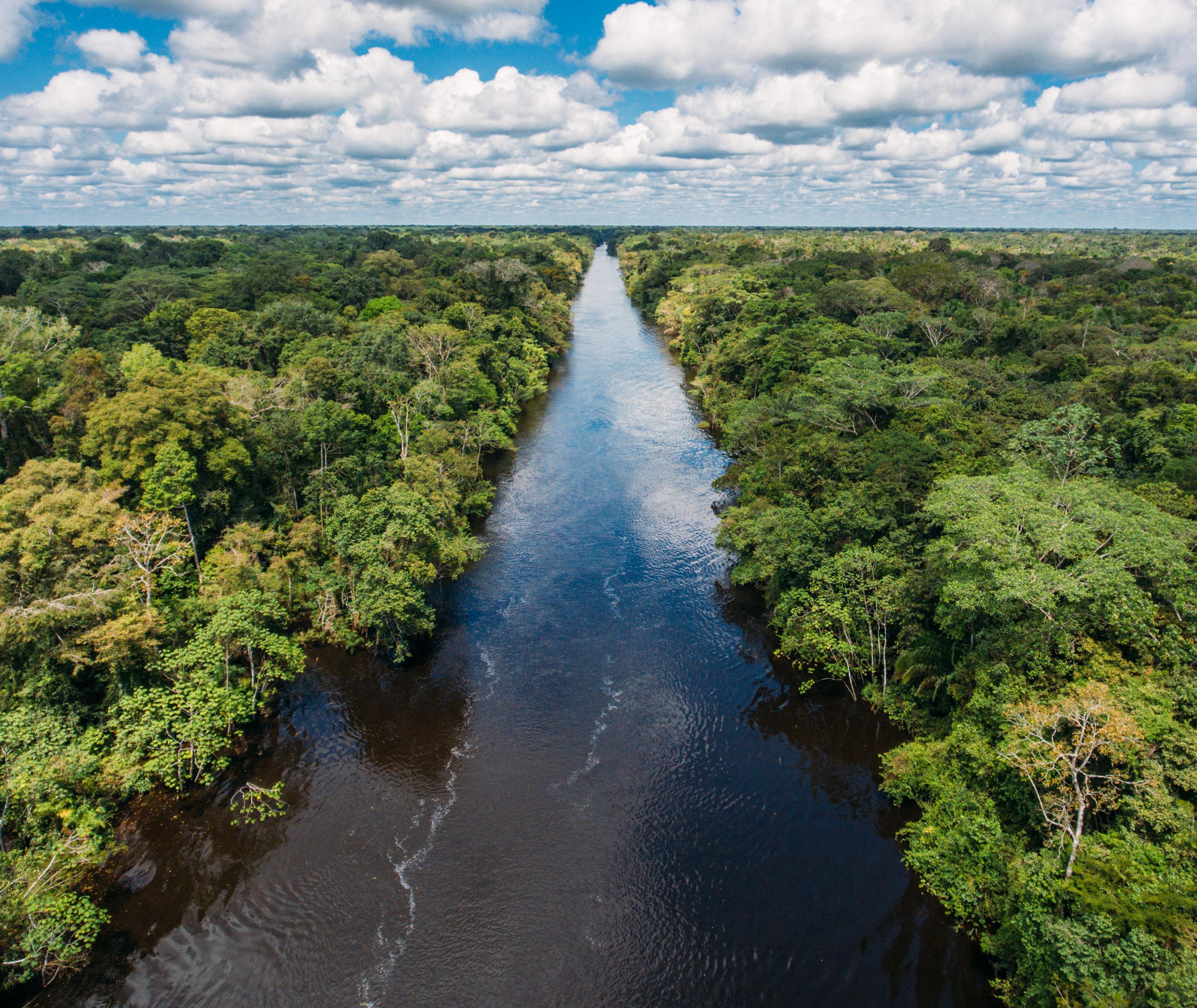 amazon river landscape
