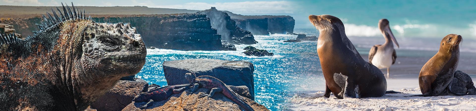 galapagos islands blogpost banner