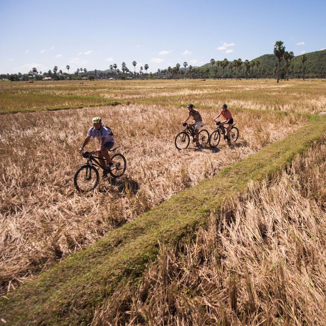 Mekong Private Charter - All-inclusive itineraries