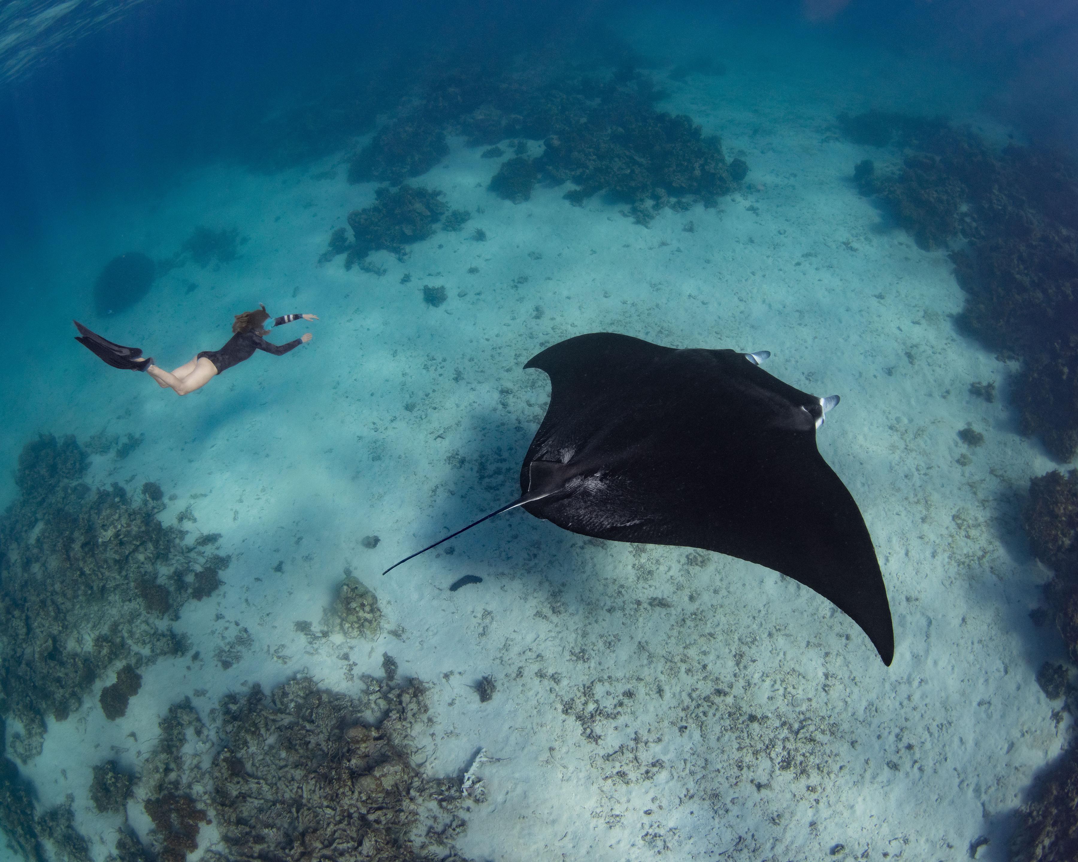 Raja Ampat cruise