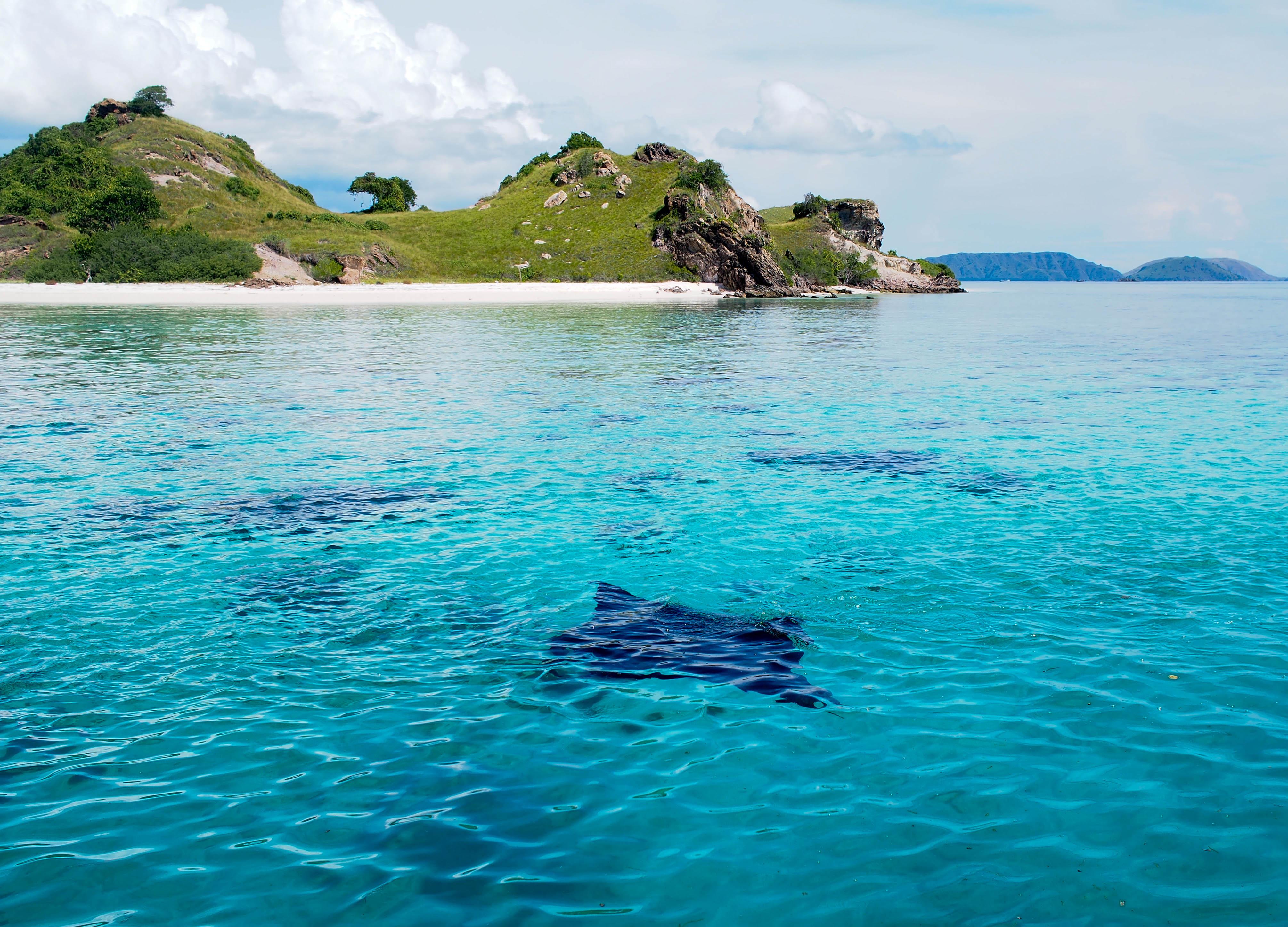 Top 10 Locations to Go Diving and Snorkeling in East Indonesia