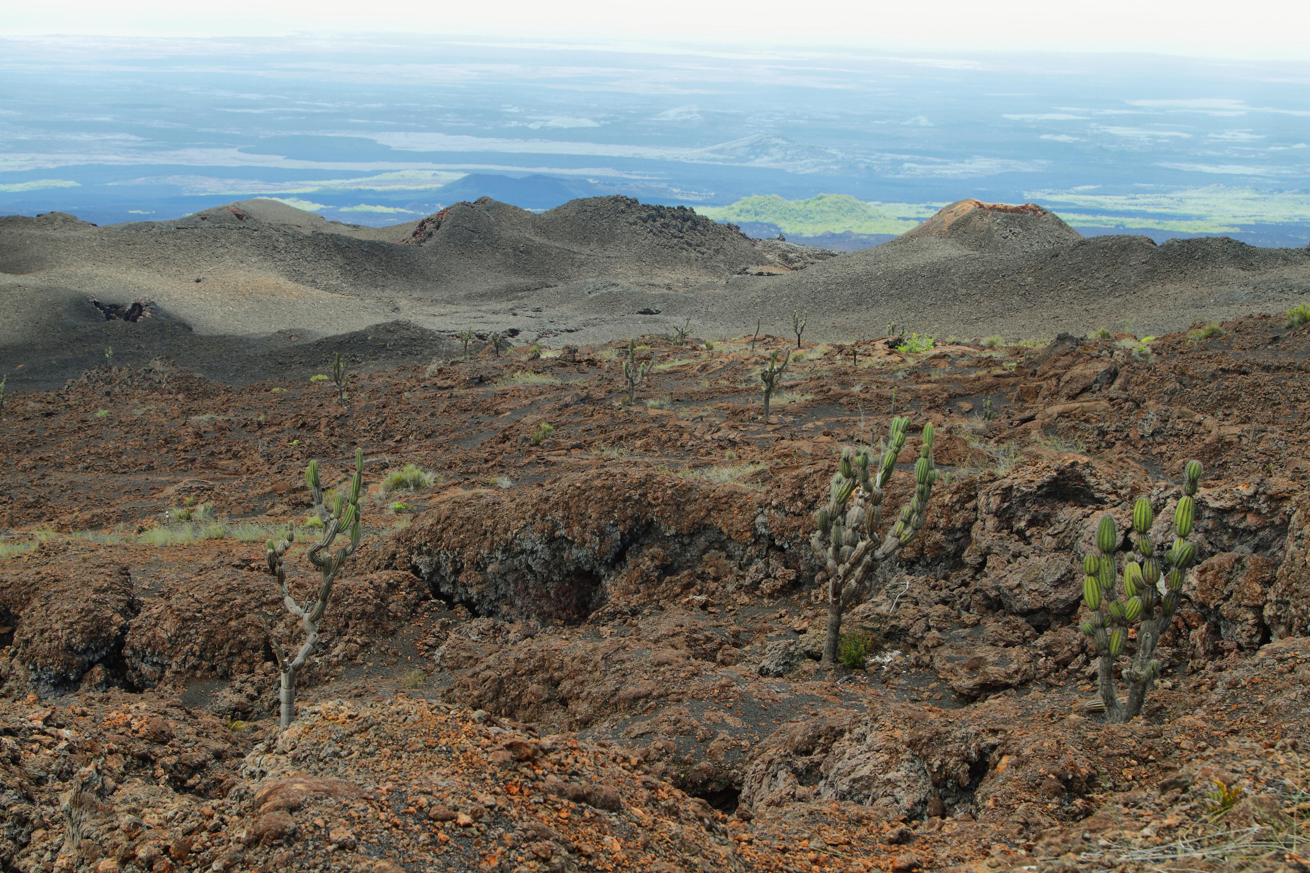 sierra negra volcano isabela island