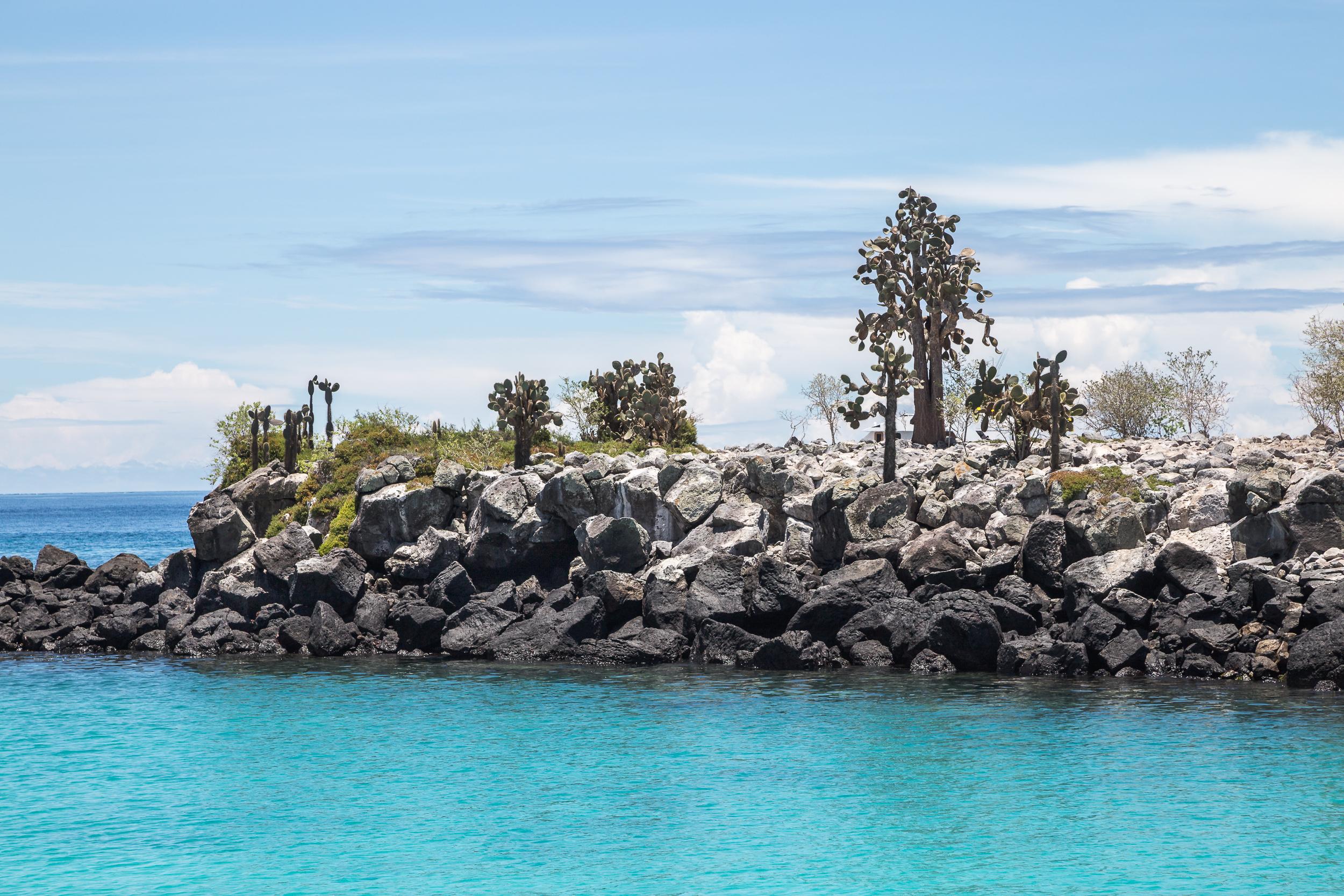 turquoise-waters-santa-fe-island