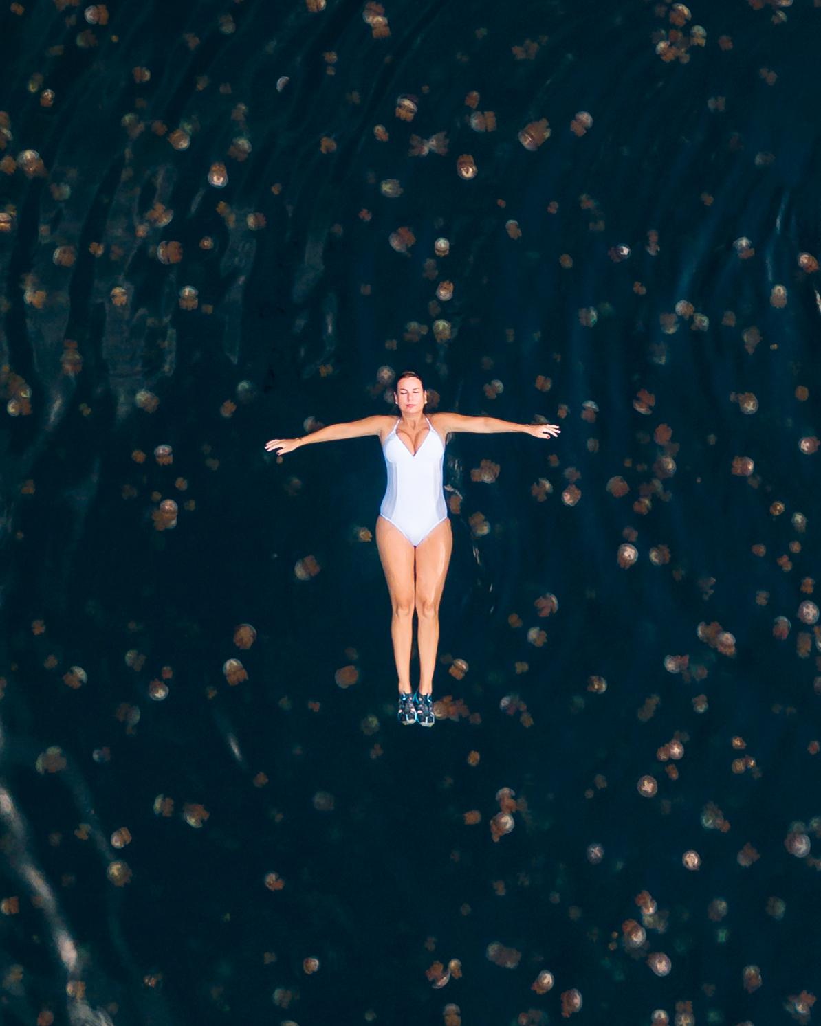 Aqua Blu - Swimming wIth Jellyfishes