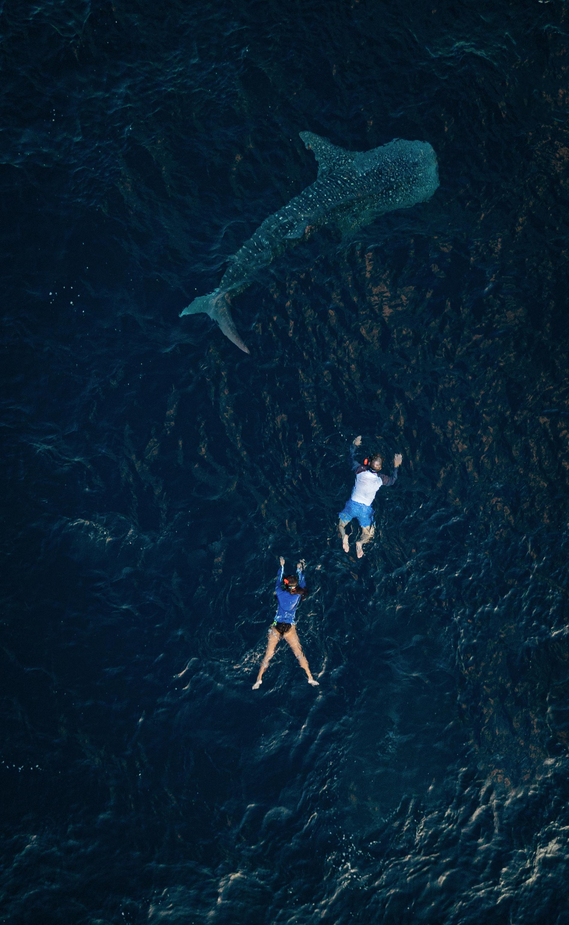 Aqua Expeditions