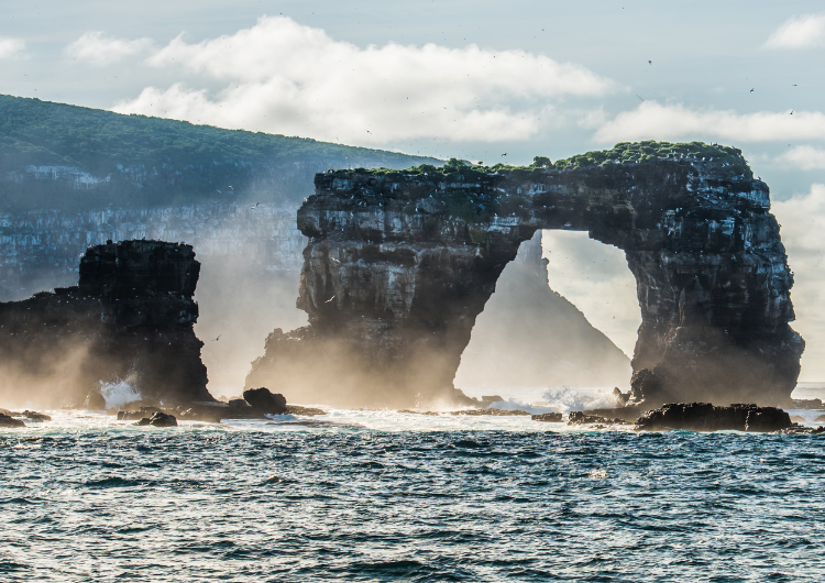 darwin island arch
