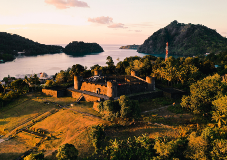 fort belgica