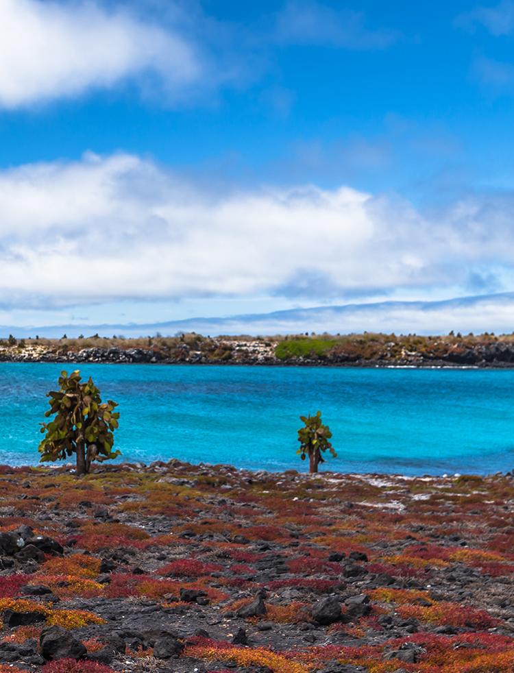 Galapagos private charter