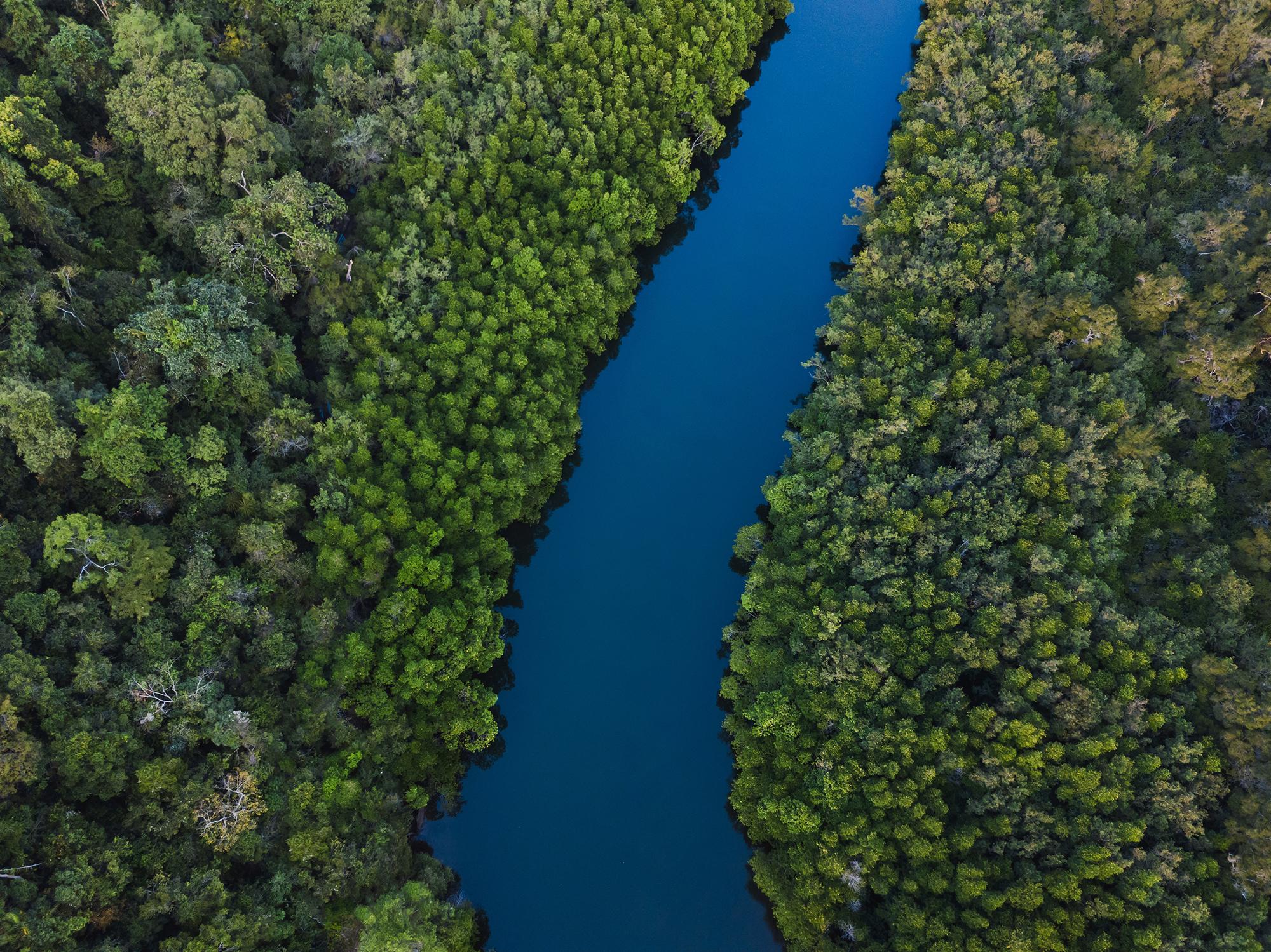 Amazon river cruise