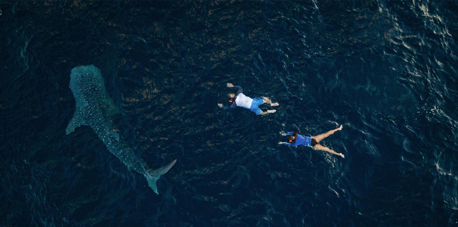 Aqua Experience