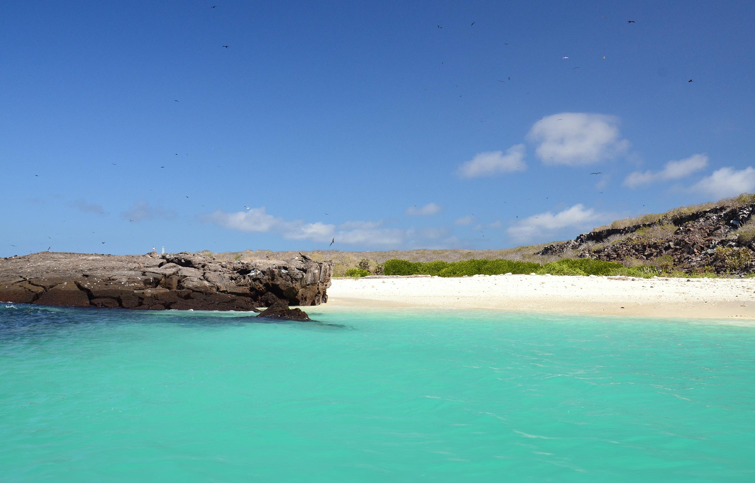 Galapagos islands