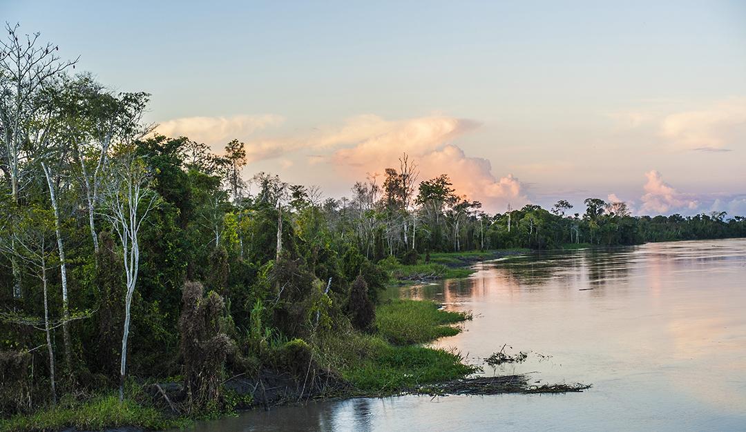 Amazon - Landscapes - 05.jpg