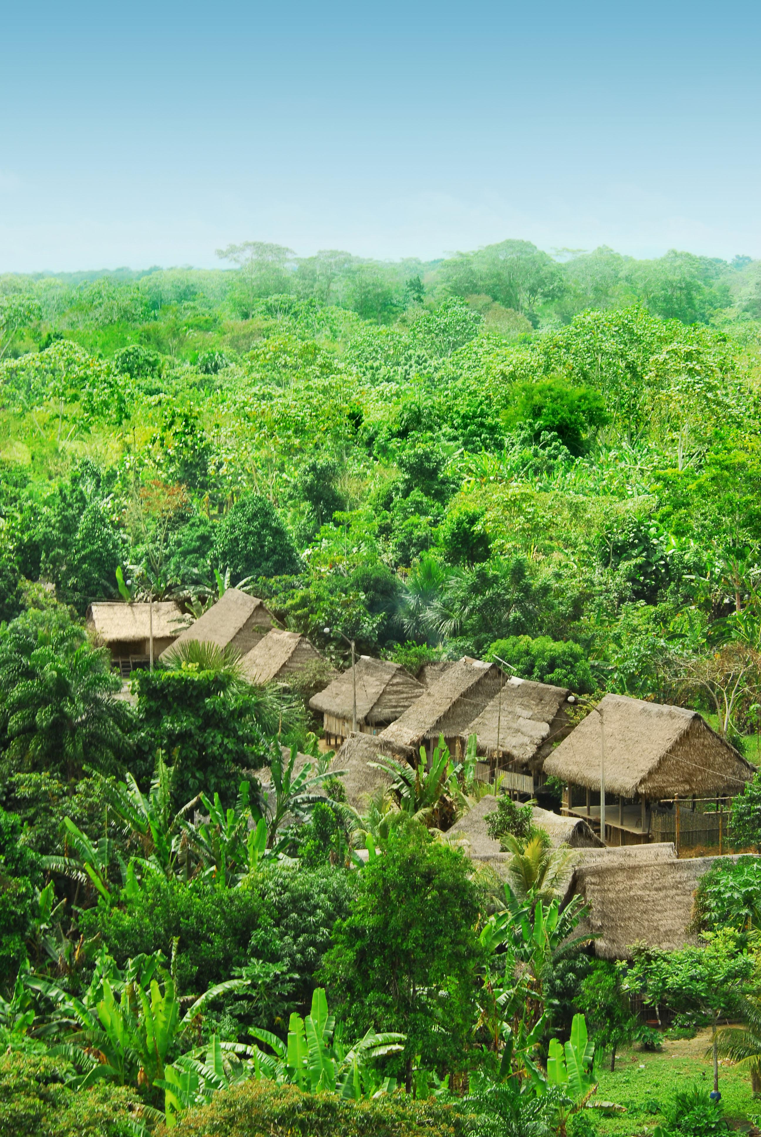 Amazon - Miguel Grau Community - 01.JPG