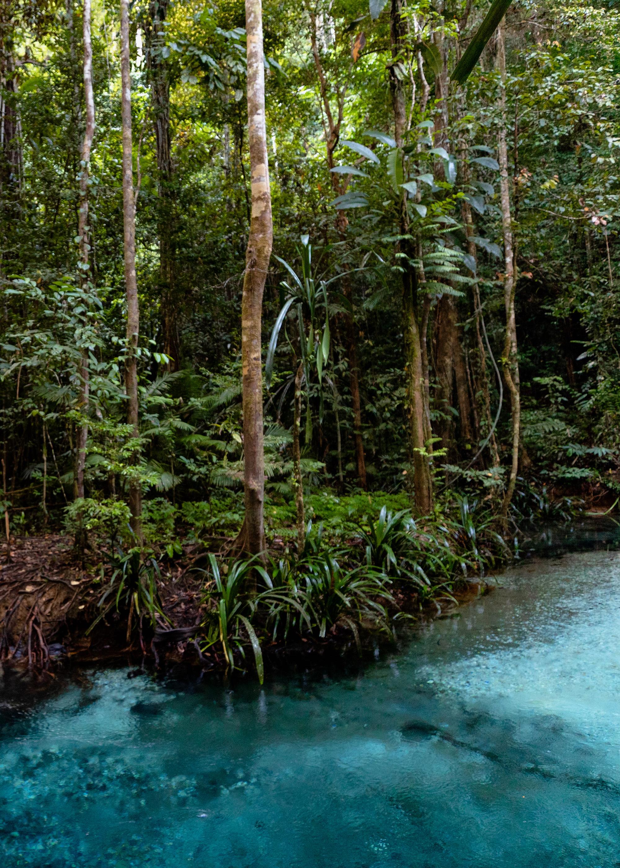 Kali biru