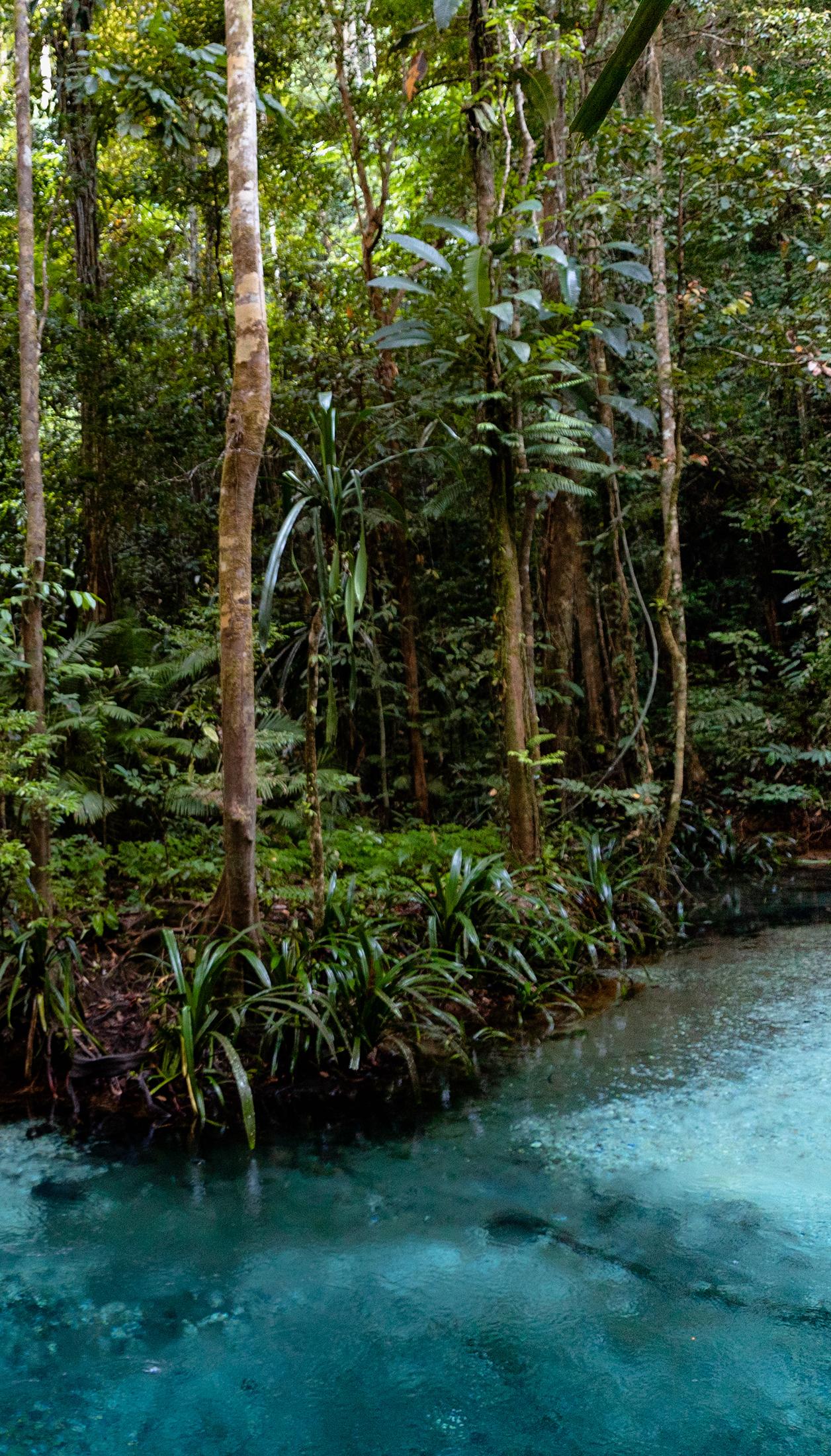 Kali biru