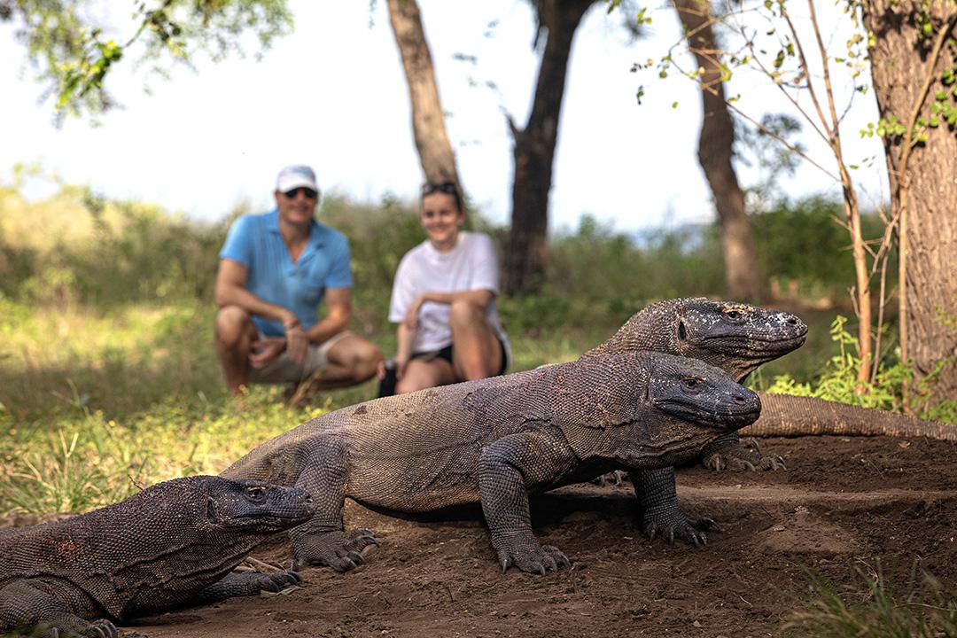 Komodo & Bali - Komodo Dragon Park Visit - 03.jpg