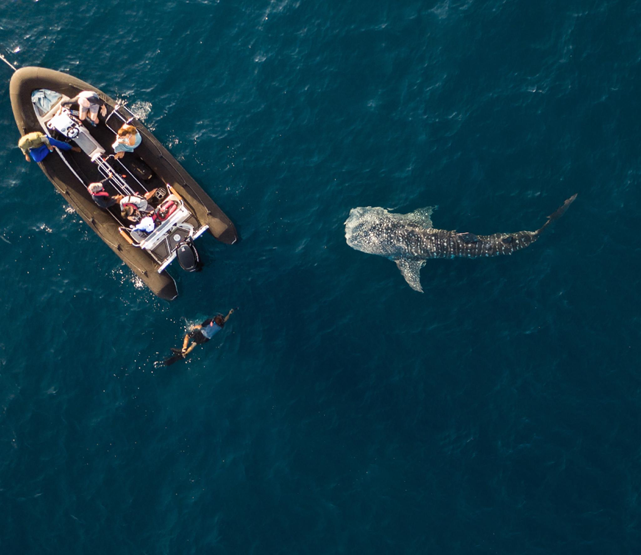 Private charter