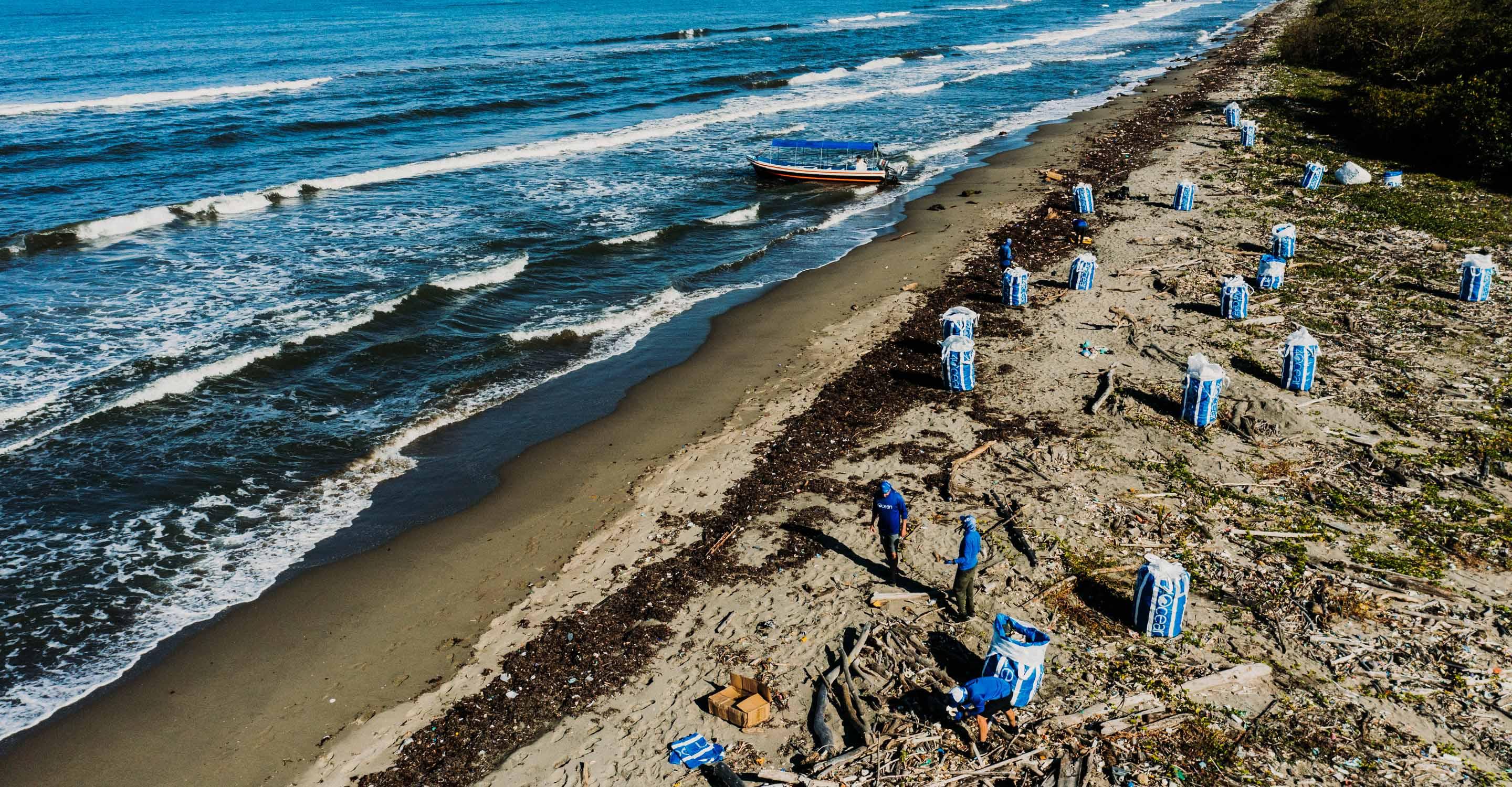 Annual Cleanup Activation - Tablet
