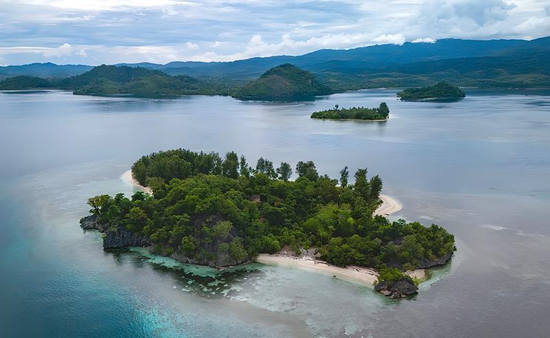 Indonesia cruise