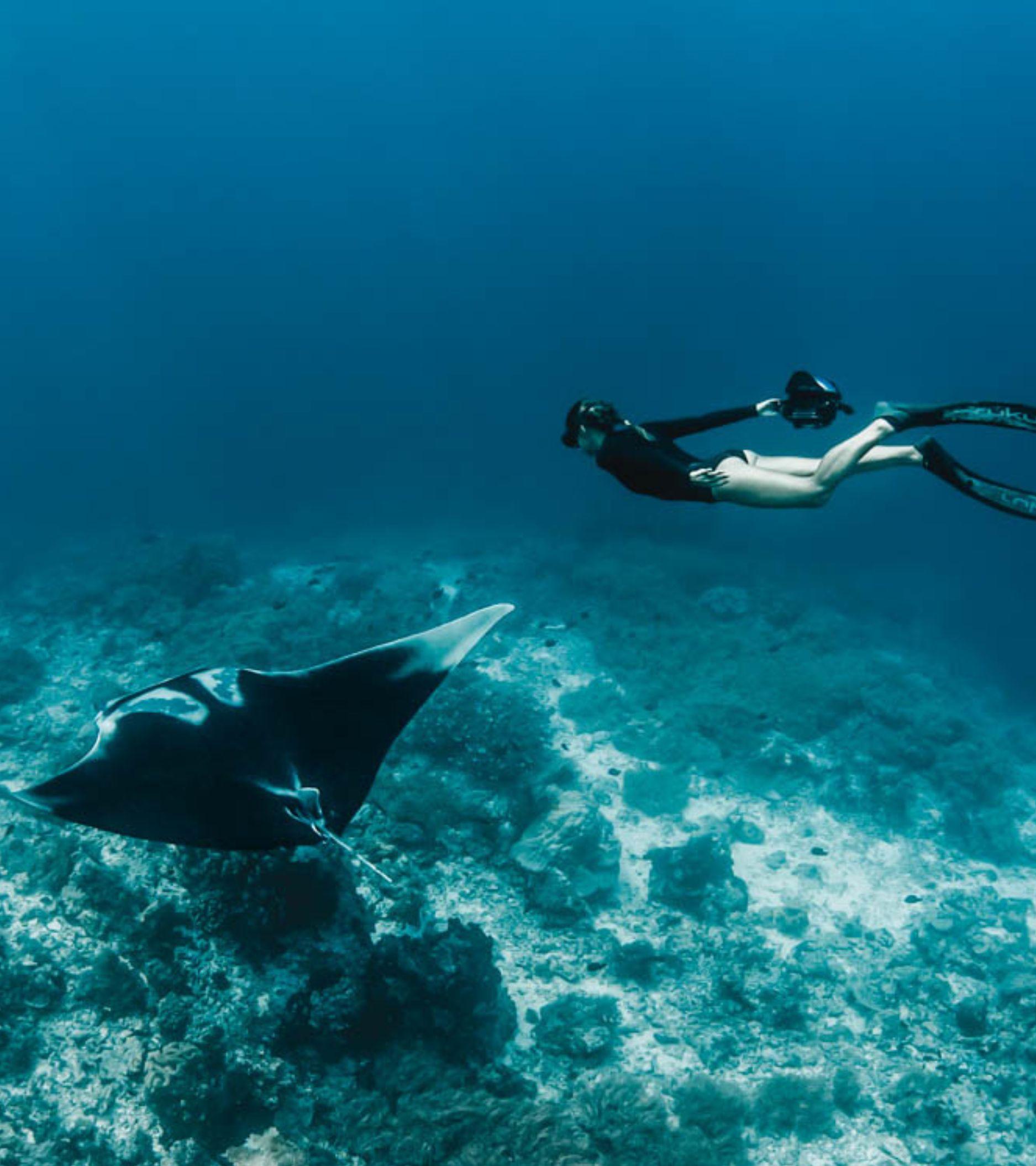 mantaray_mobile