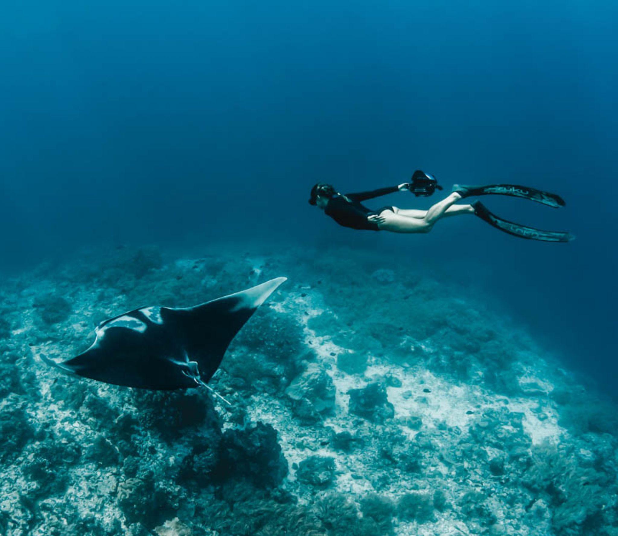 mantaray_tablet