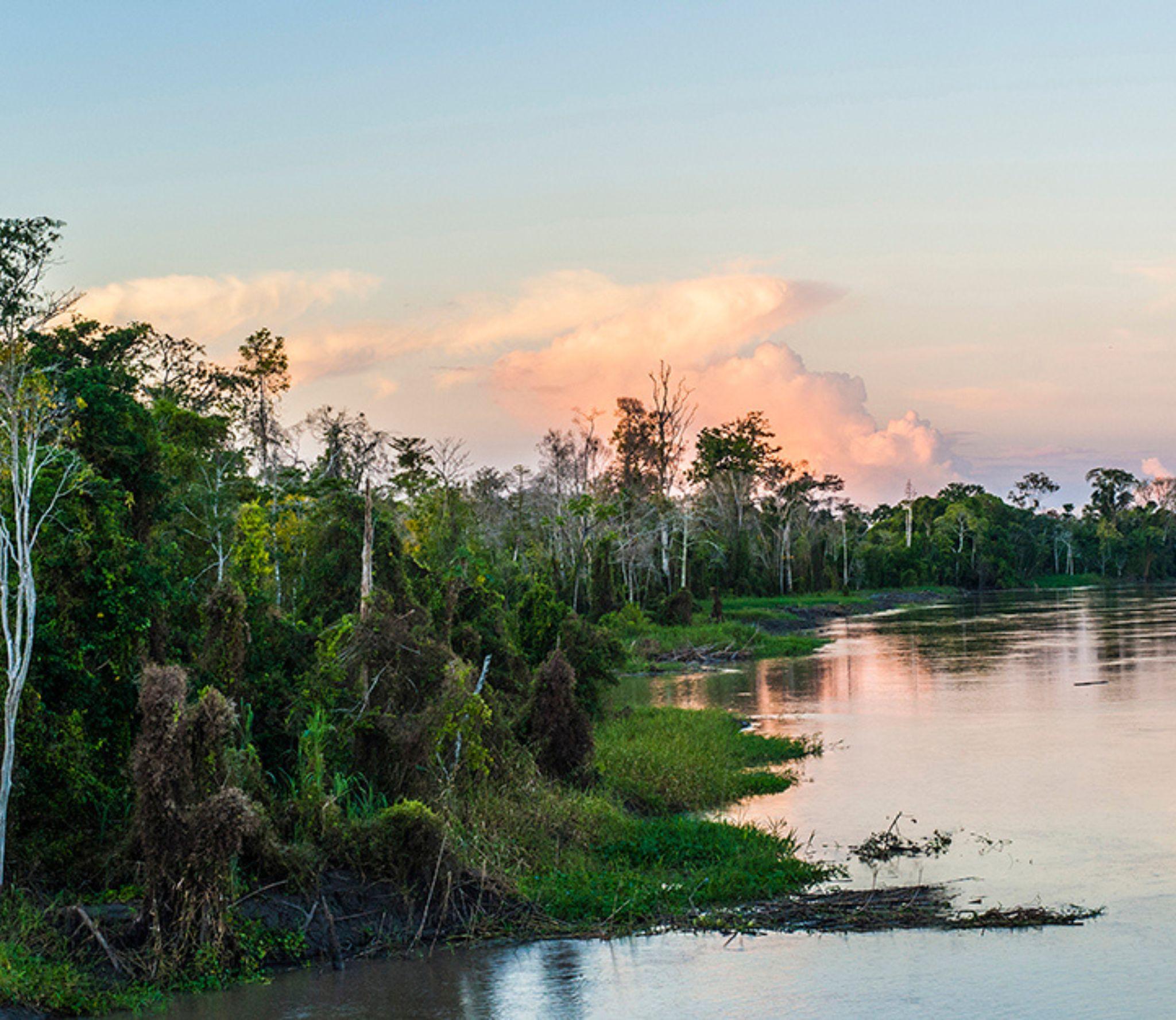 Amazon - Landscapes - 05_Tablet