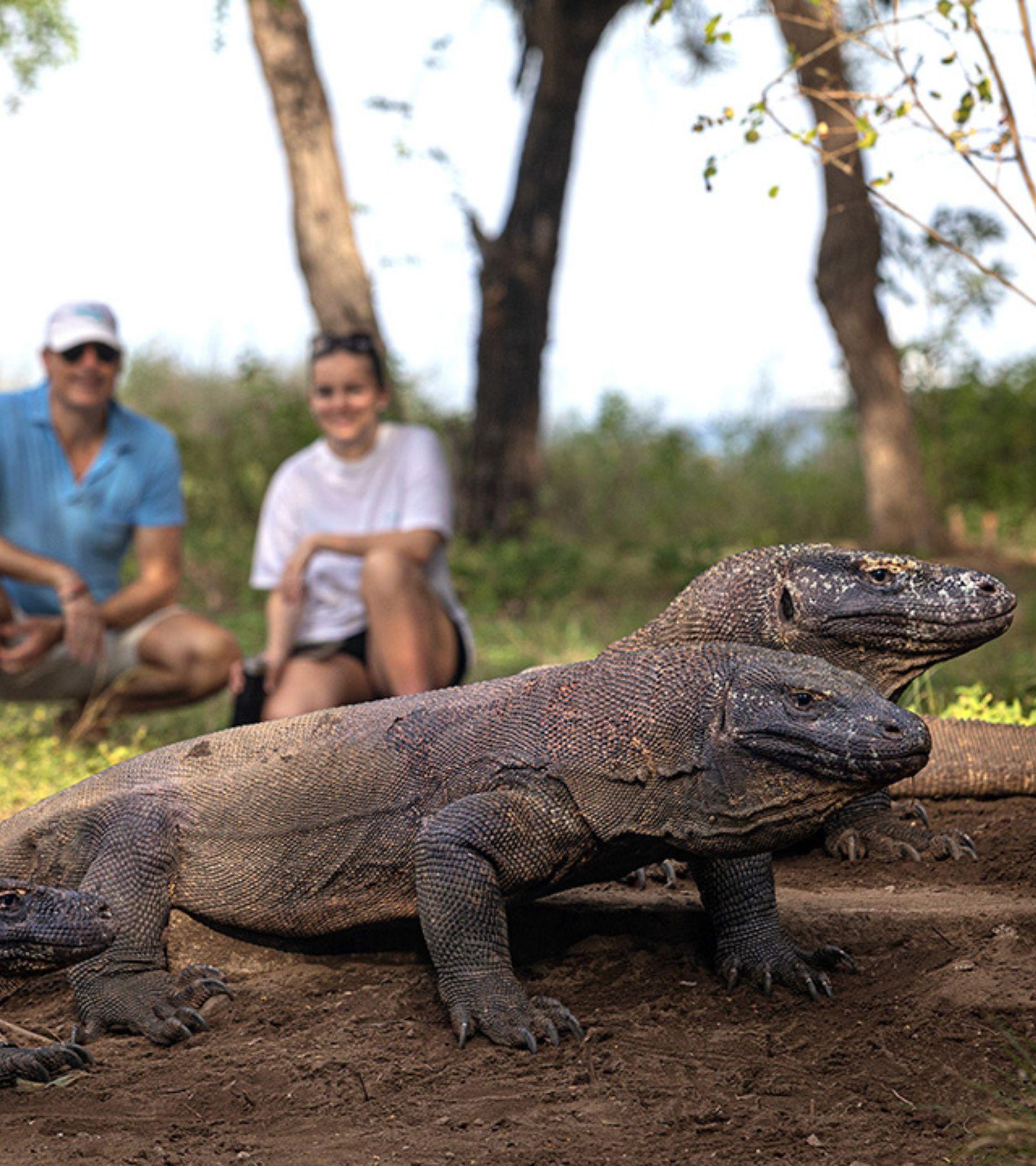 Komodo & Bali - Komodo Dragon Park Visit - 03_Mobile