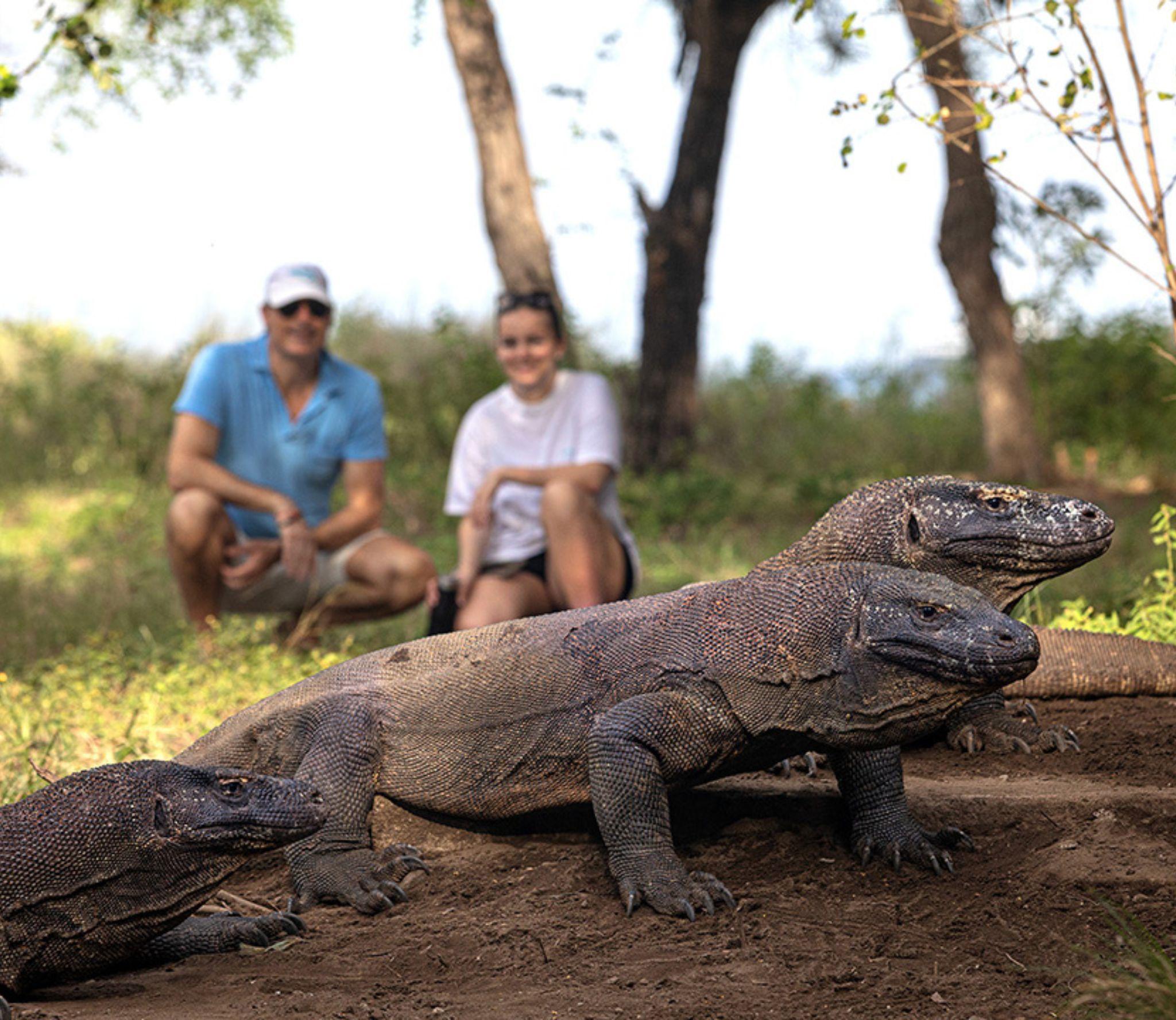 Komodo & Bali - Komodo Dragon Park Visit - 03_Tablet